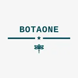 BOTAONE