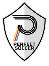 Perfect Soccer Skills