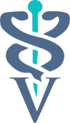 The Webinar Vet