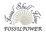 Fossil Power