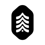 Raw Forest Foods