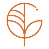 Gecko Studio