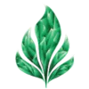 Emerald Herb Co
