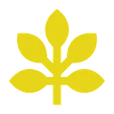 Bellurelle