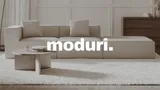 Moduri