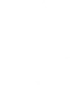 Bio Synergy