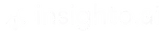 Insighto AI
