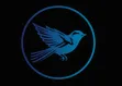 Blue Sparrow Music