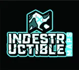 Indestructible Maps