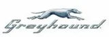 Greyhound
