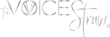 Voice Straw