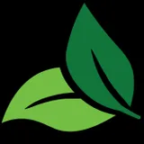 Vanera
