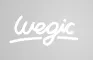 Wegic AI
