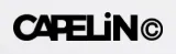 Capelin-crew.com