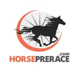 Horse Pre Race