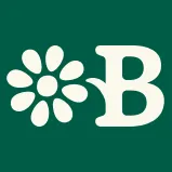 The Blossomist