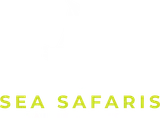 SeaSafarisOnline