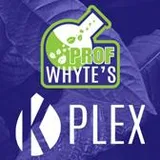 Professor Whytes
