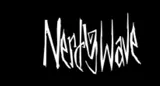 Nerdywave.com