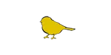 The Yellow Bird