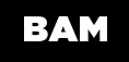 Bam-investigations.com