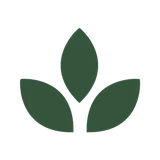 Body Leaf