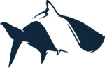 Fish Hippie