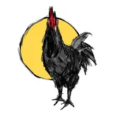 Black Chicken Host