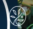 Botanicam