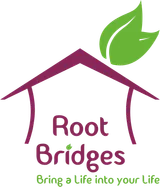Root Bridges