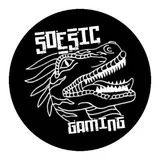 Soesic Gaming