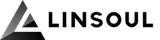 Linsoul
