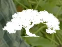 School Of Permaculture